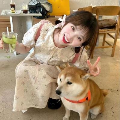 爱情有什么道理
